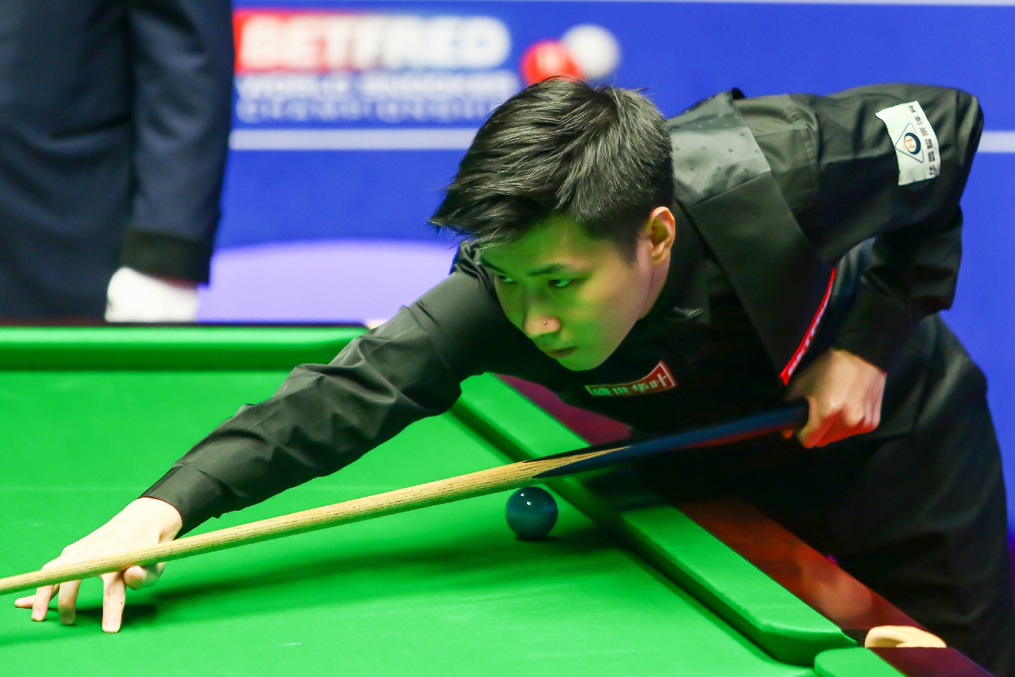 游客的目光 游客的目光